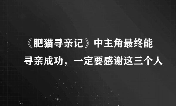 《肥猫寻亲记》中主角最终能寻亲成功，一定要感谢这三个人