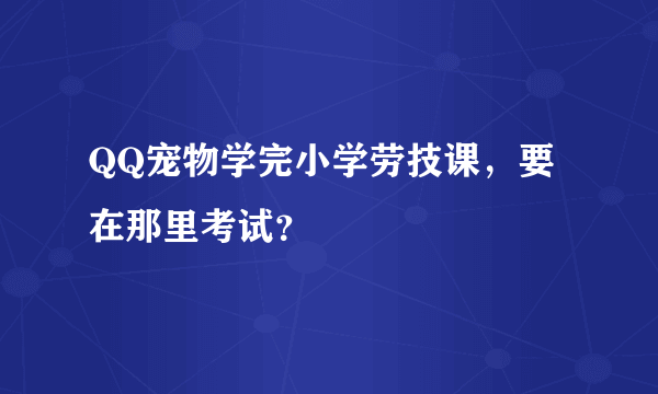 QQ宠物学完小学劳技课，要在那里考试？