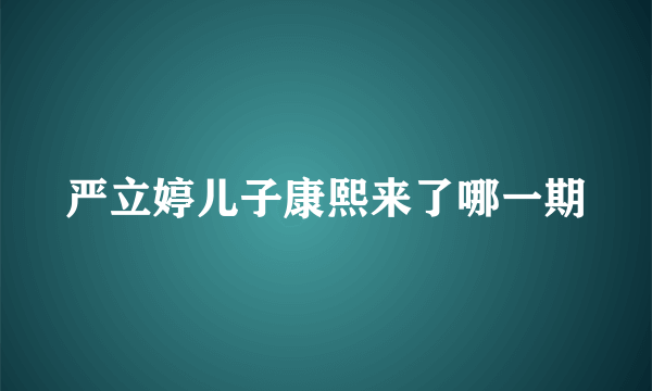 严立婷儿子康熙来了哪一期