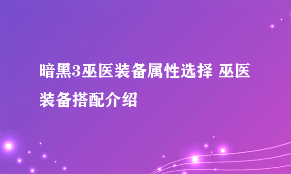 暗黑3巫医装备属性选择 巫医装备搭配介绍