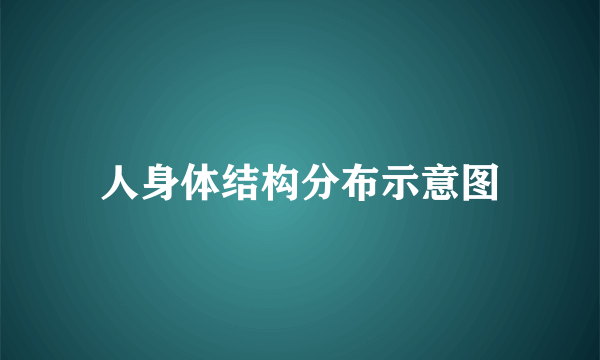 人身体结构分布示意图