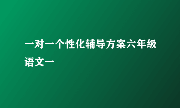 一对一个性化辅导方案六年级语文一