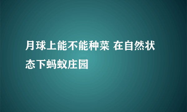 月球上能不能种菜 在自然状态下蚂蚁庄园