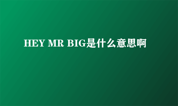 HEY MR BIG是什么意思啊