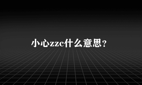 小心zzc什么意思？