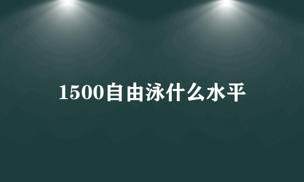 1500自由泳什么水平