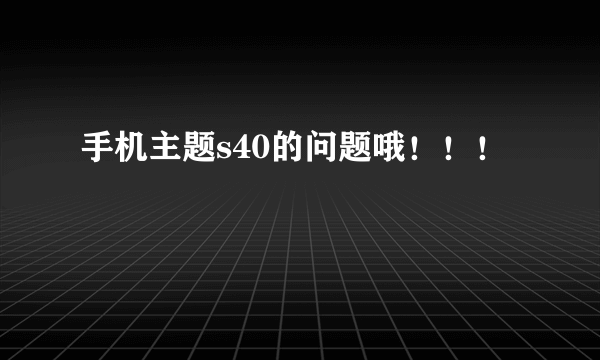 手机主题s40的问题哦！！！