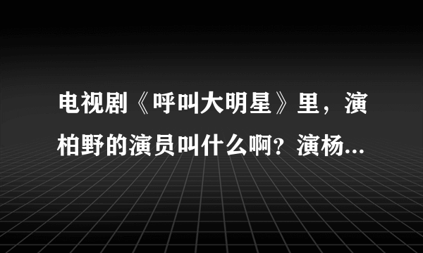 电视剧《呼叫大明星》里，演柏野的演员叫什么啊？演杨维辰的演员叫什么啊？