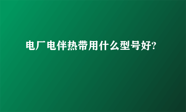 电厂电伴热带用什么型号好?