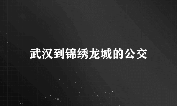 武汉到锦绣龙城的公交