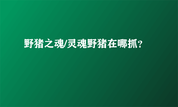 野猪之魂/灵魂野猪在哪抓？