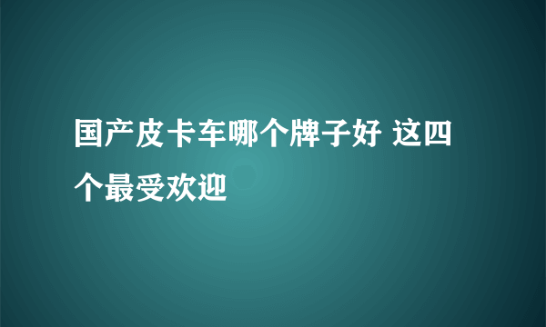 国产皮卡车哪个牌子好 这四个最受欢迎