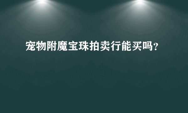 宠物附魔宝珠拍卖行能买吗？