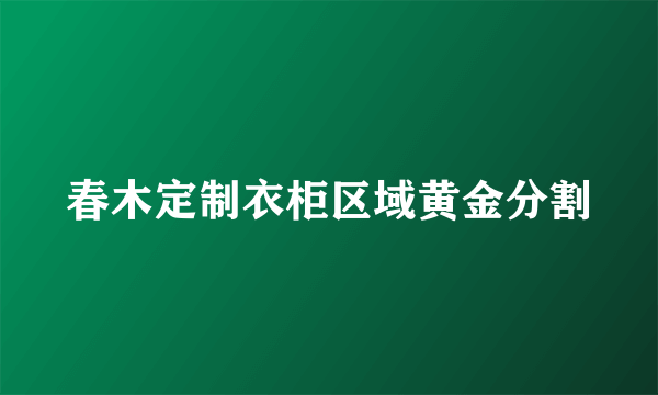 春木定制衣柜区域黄金分割