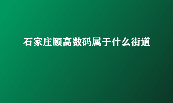 石家庄颐高数码属于什么街道