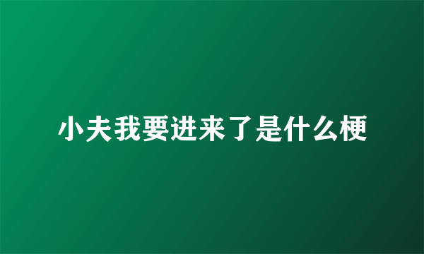 小夫我要进来了是什么梗