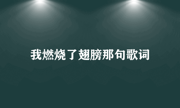 我燃烧了翅膀那句歌词