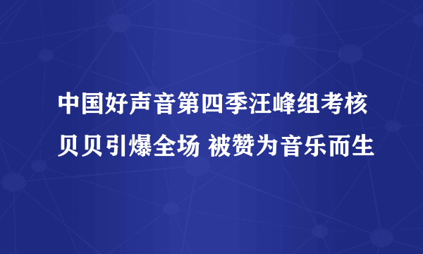 中国好声音第四季汪峰组考核贝贝引爆全场 被赞为音乐而生