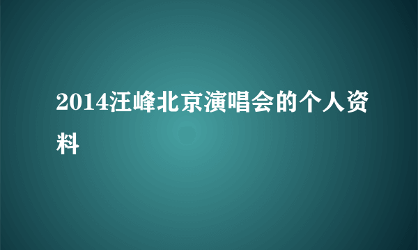 2014汪峰北京演唱会的个人资料