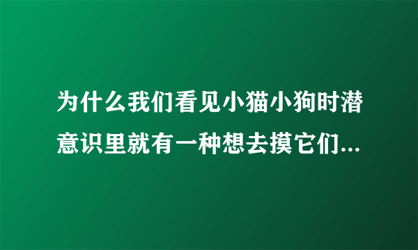 为什么我们看见小猫小狗时潜意识里就有一种想去摸它们的想法？