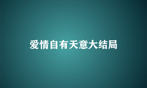 爱情自有天意大结局