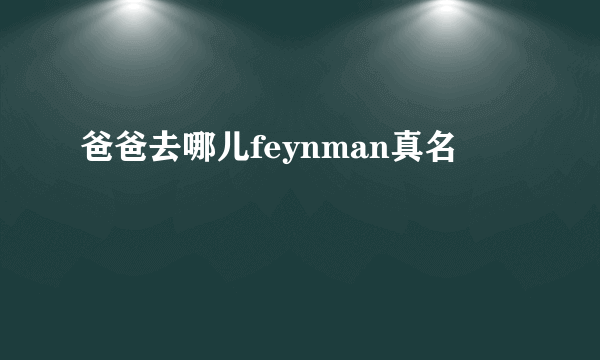 爸爸去哪儿feynman真名