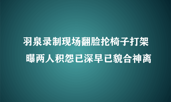 羽泉录制现场翻脸抡椅子打架 曝两人积怨已深早已貌合神离