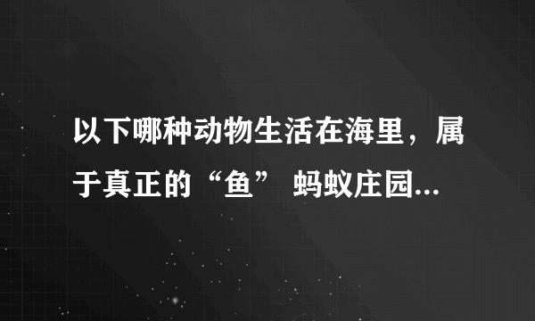 以下哪种动物生活在海里，属于真正的“鱼” 蚂蚁庄园今日答案5月22日