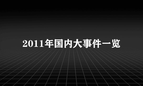 2011年国内大事件一览