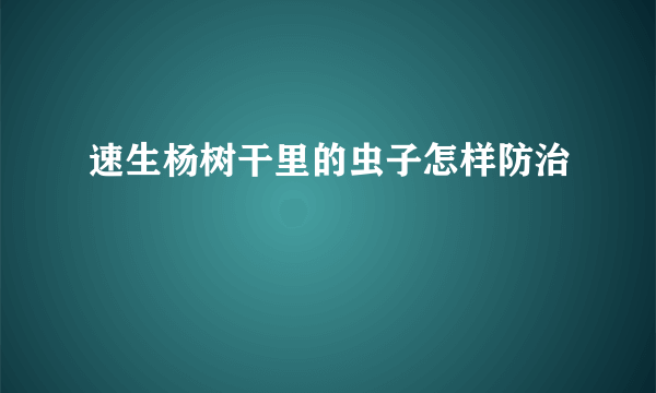 速生杨树干里的虫子怎样防治