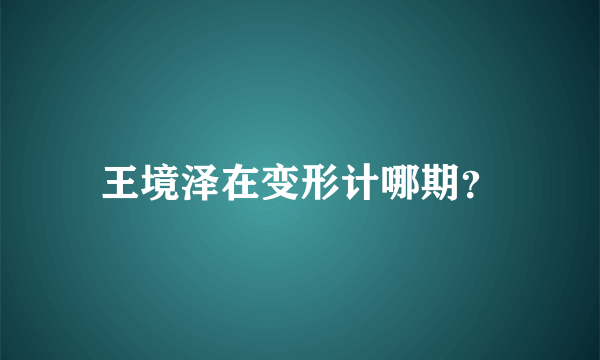 王境泽在变形计哪期？