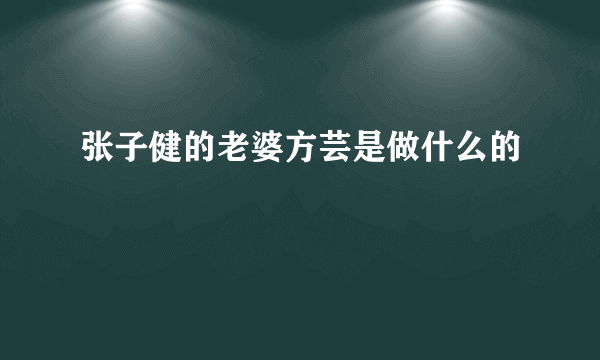 张子健的老婆方芸是做什么的