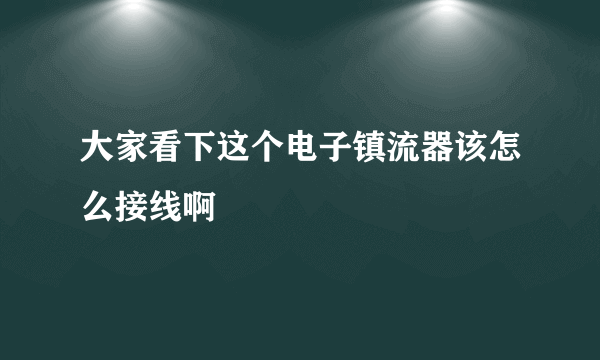 大家看下这个电子镇流器该怎么接线啊