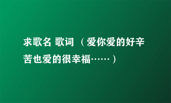 求歌名 歌词 （爱你爱的好辛苦也爱的很幸福……）