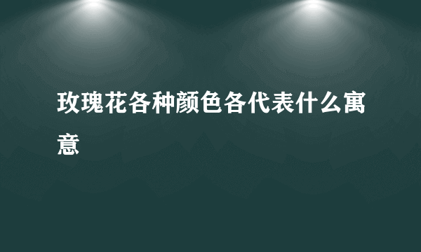 玫瑰花各种颜色各代表什么寓意