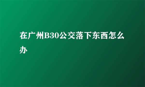 在广州B30公交落下东西怎么办