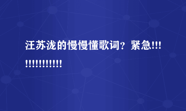 汪苏泷的慢慢懂歌词？紧急!!!!!!!!!!!!!!