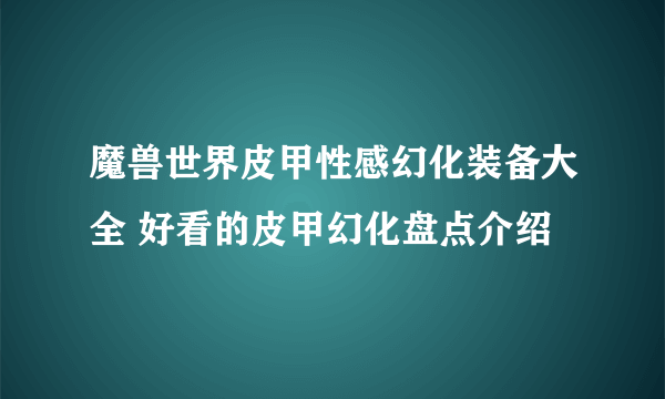 魔兽世界皮甲性感幻化装备大全 好看的皮甲幻化盘点介绍