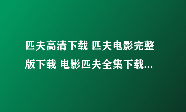 匹夫高清下载 匹夫电影完整版下载 电影匹夫全集下载 匹夫迅雷下载