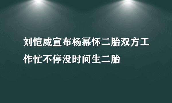 刘恺威宣布杨幂怀二胎双方工作忙不停没时间生二胎