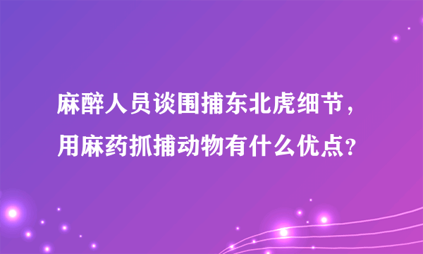 麻醉人员谈围捕东北虎细节，用麻药抓捕动物有什么优点？