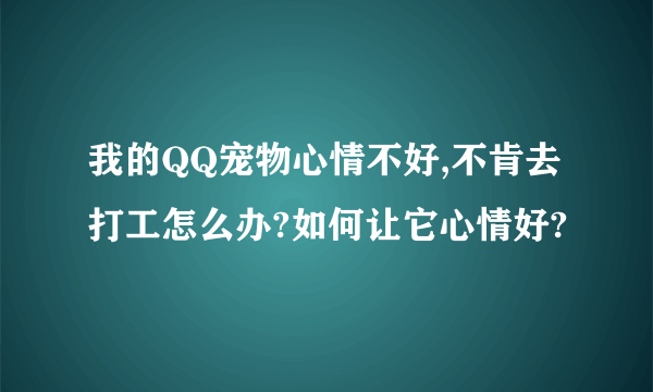 我的QQ宠物心情不好,不肯去打工怎么办?如何让它心情好?