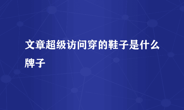 文章超级访问穿的鞋子是什么牌子