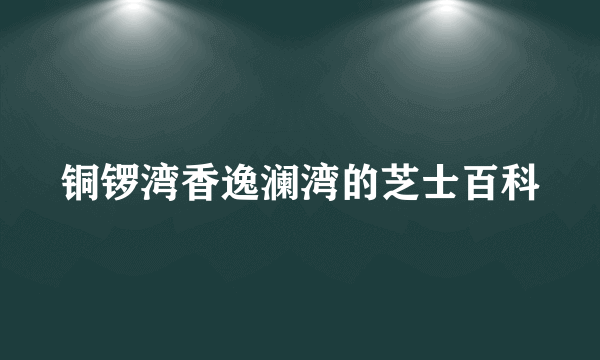 铜锣湾香逸澜湾的芝士百科