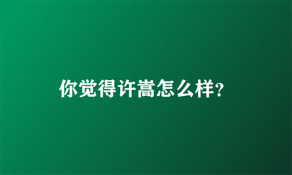 你觉得许嵩怎么样？