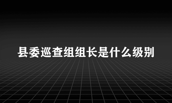 县委巡查组组长是什么级别