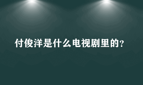 付俊洋是什么电视剧里的？