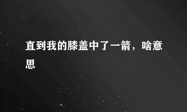 直到我的膝盖中了一箭，啥意思