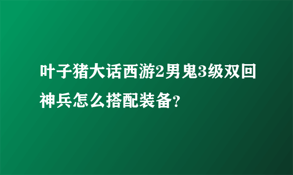 叶子猪大话西游2男鬼3级双回神兵怎么搭配装备？