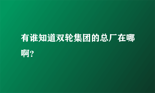 有谁知道双轮集团的总厂在哪啊？